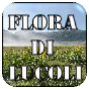 www.lucoli.it/floradilucoli