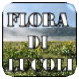 Flora di Lucoli